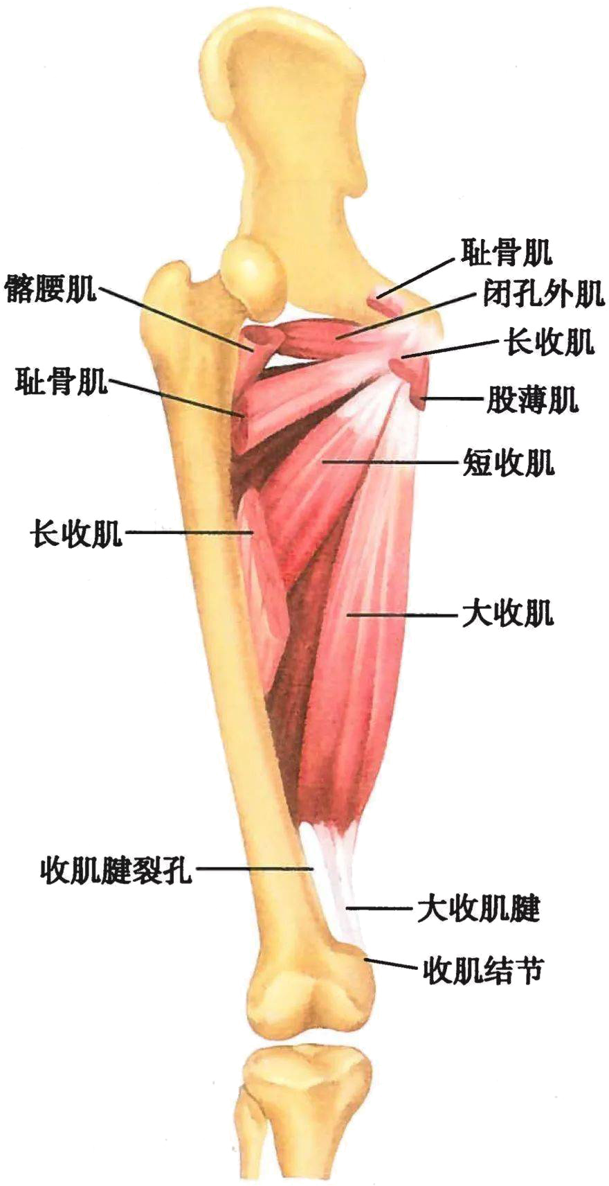 uploads/image/20241122/1732258660.png