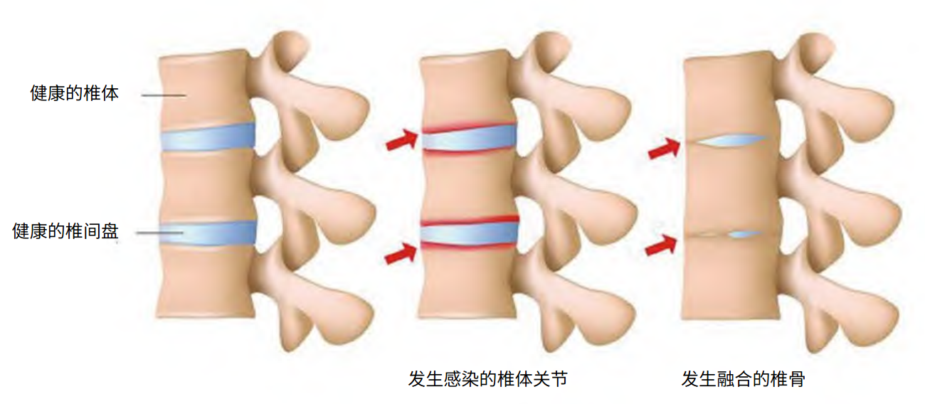 uploads/image/20250104/1735982225.png